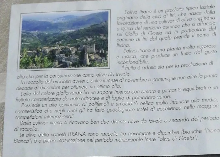 B&B Il Paradiso 라티나